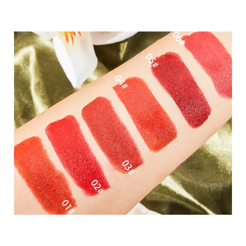 6 Colors Matte Lipstick, Matte Lipstick Long Lasting Waterproof Lip Gloss with Mirror Velvety High Pigmented Lip Stain Kit Girls Women Make Up Gift (01#)
