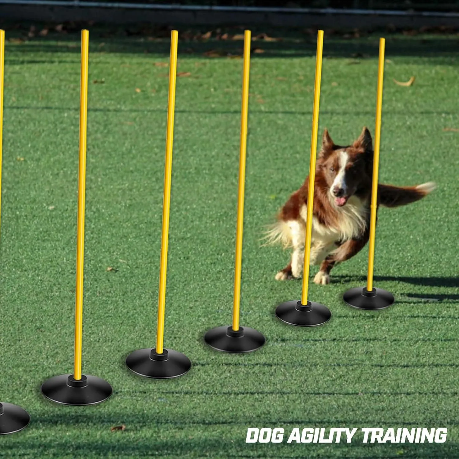 Agility Training Poles Set (Rubber Base with 3.3ft/1m to 4.9ft/1.5m Poles)