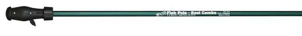 BnM Fish Pole Combo 10ft 2 section