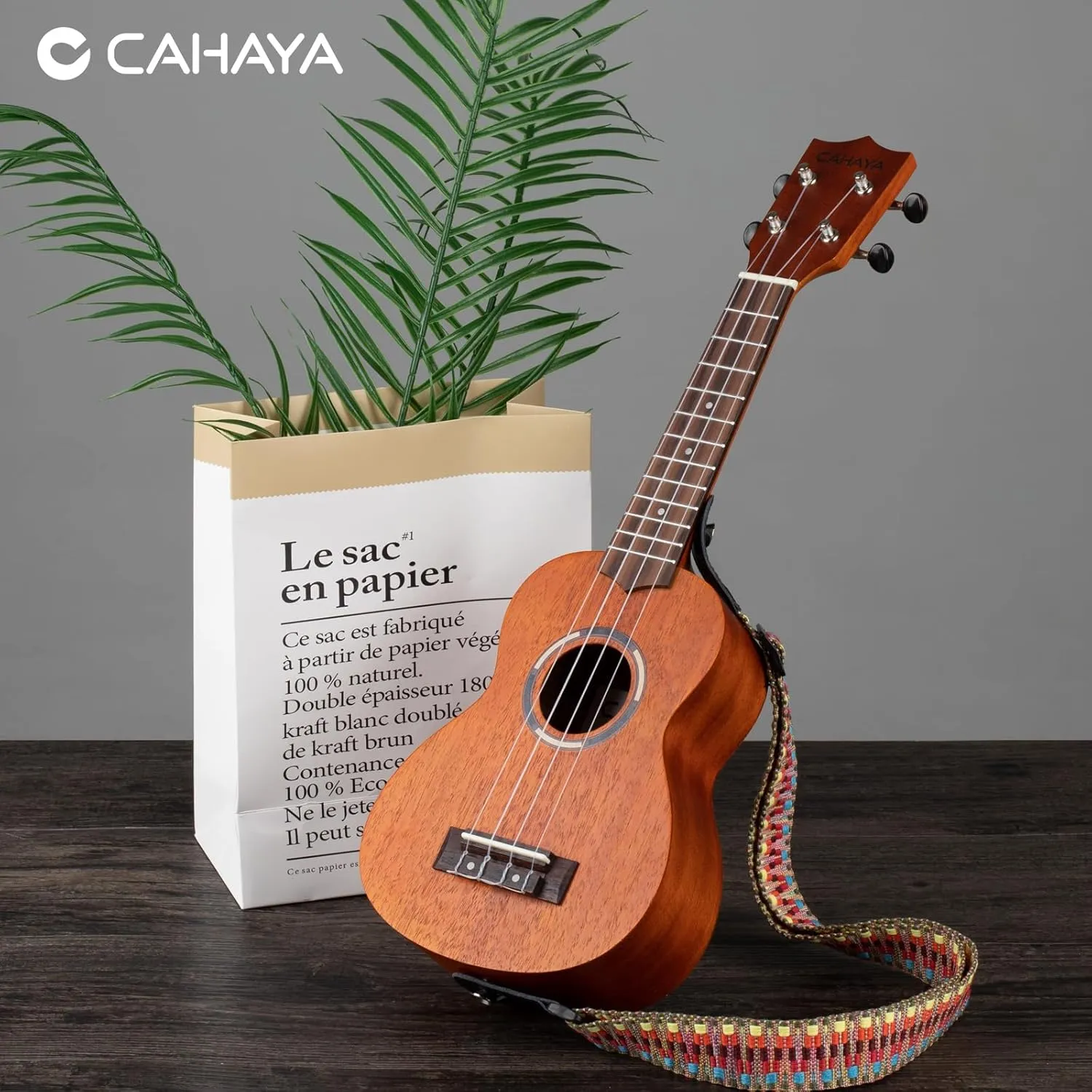 CAHAYA Soprano Ukulele for Beginner: 21 Inch Ukulele Kit Starter with Carrying Bag, Shoulder Strap, Fretboard Stickers, for Both Adults and Kids in Mahogany CY0335