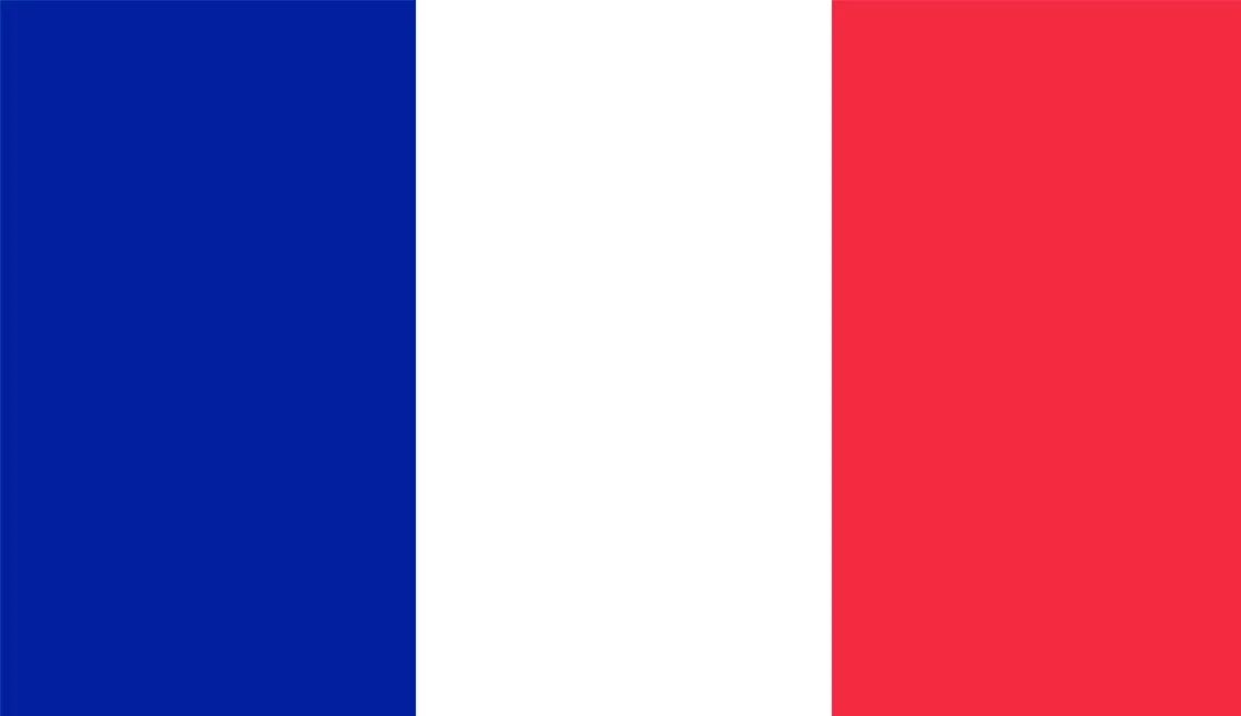 Clearance France Flag (1800mm X 900mm)
