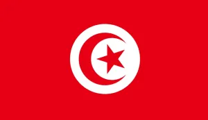 Clearance Tunisia Flag (2400mm x 1200mm)