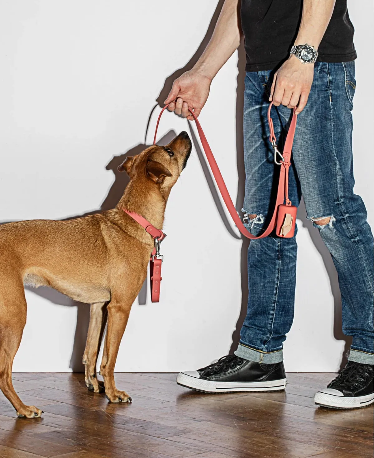 Collar Walk Kit