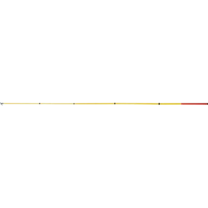 Delta Plus LV400 Telescopic Pole