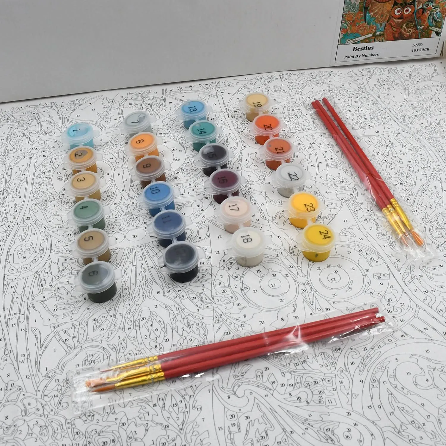 DIY Paint by Numbers Kit – 24 Colors, Canvas & Brushes (40x50 cm)