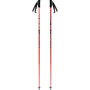 Duos Jr Extendable Ski Poles