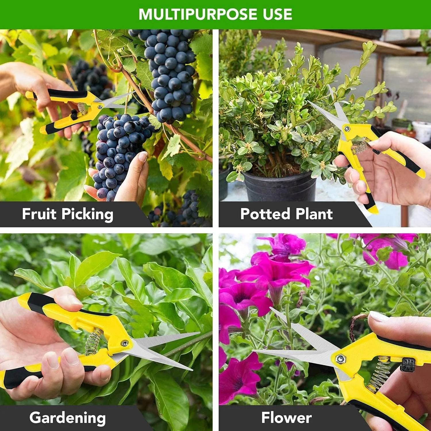 iPower 6.5 Inch Gardening Scissors Hand Pruner Pruning Shear for Gardening and Trimming, Heavy-Duty, Ultra Sharp Stainless Steel, Yellow, 10-Pack
