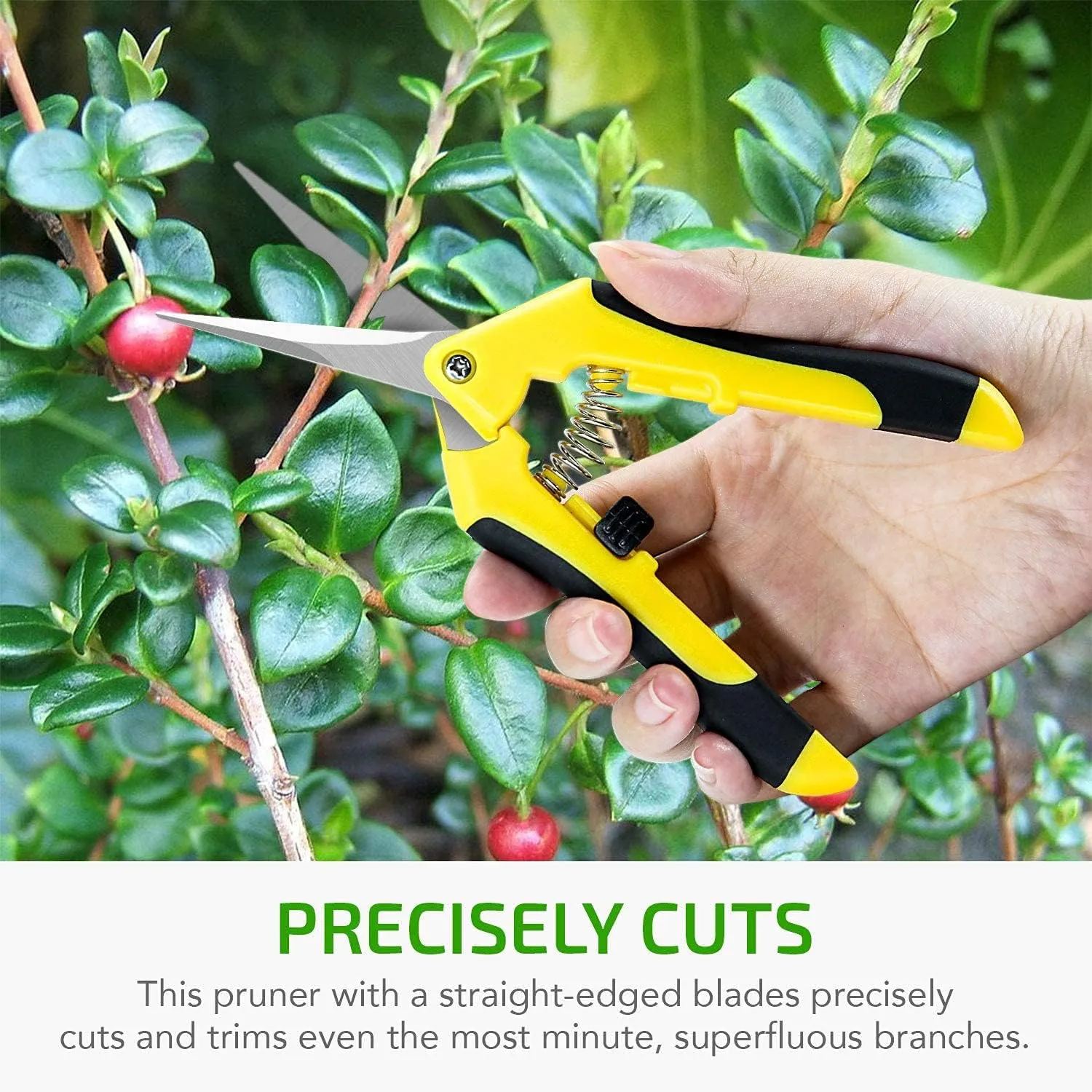 iPower 6.5 Inch Gardening Scissors Hand Pruner Pruning Shear for Gardening and Trimming, Heavy-Duty, Ultra Sharp Stainless Steel, Yellow, 10-Pack