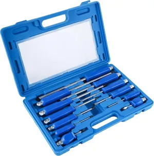 Lichamp 12-Piece Screw Driver Set Heavy Duty, Go-Thru Magnetic Screwdriver Set Kit with High Torque 6 Phillips & 6 Flat Head Tips