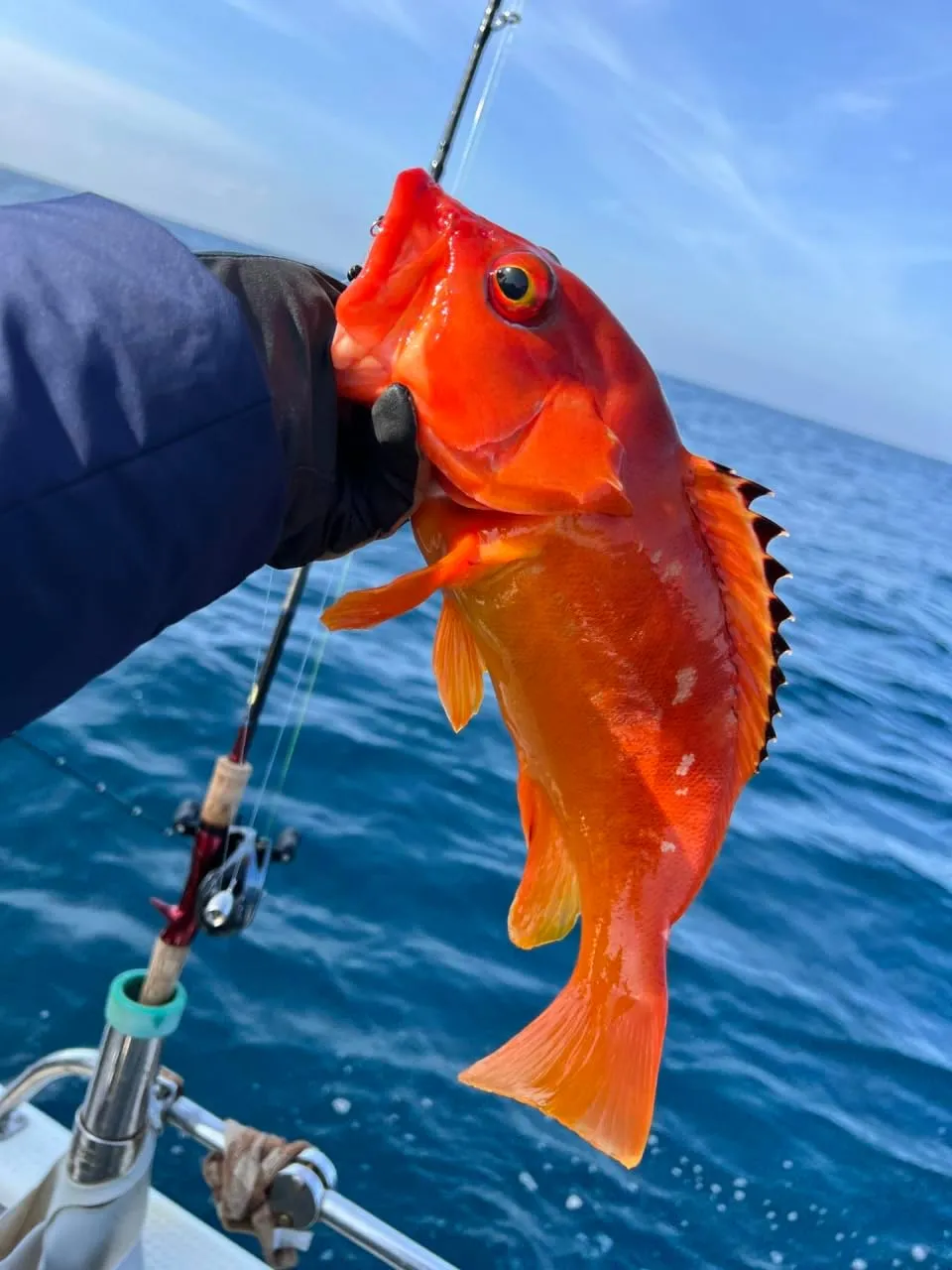 Saltwater Spoons Lures，Blade Bait ，Jigs Sinking Metal Fishing Lures, Jigging Bait,Fishing Lures Kit ，bass Lure,Amazing Fishing Gifts for Men and Family,