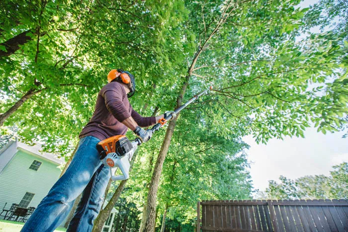 STIHL HT 105 Telescopic Pole Pruner