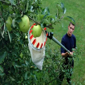 Swop Top Fruit Picking Set