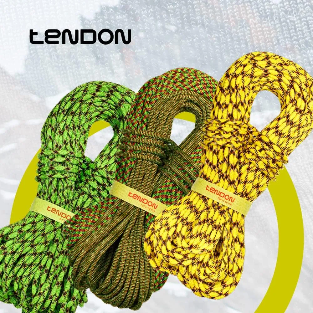 TENDON Master 9.7 Bicolor- UIAA Certified Dynamic Rope for Rock Climbing - Dry Treated with Complete Shield Technology (Bicolour 9.7mm x 60m)