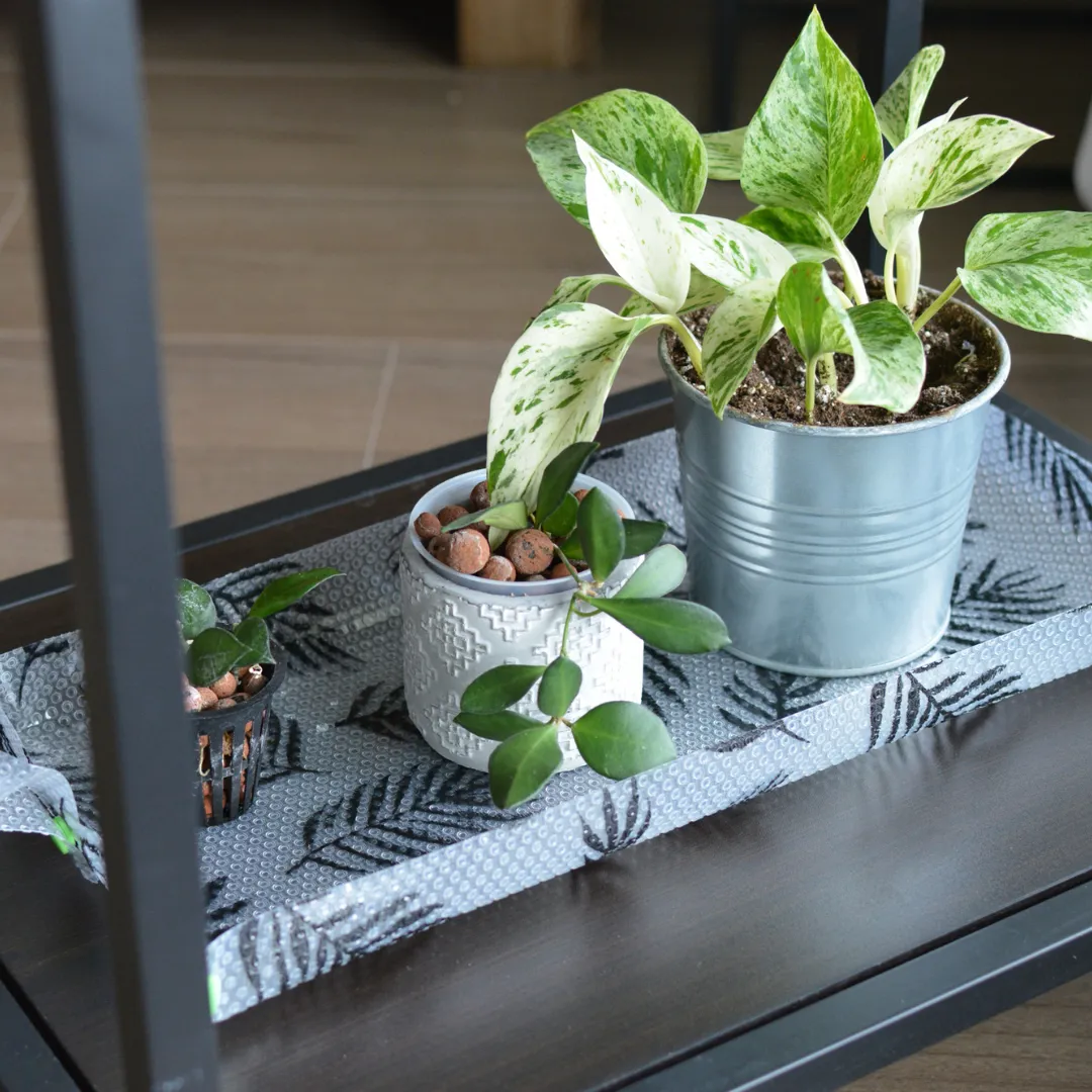 Wish Me 'Leca'  - Semi-Hydroponic Starter Kit