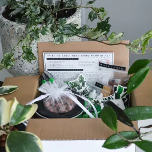 Wish Me 'Leca'  - Semi-Hydroponic Starter Kit
