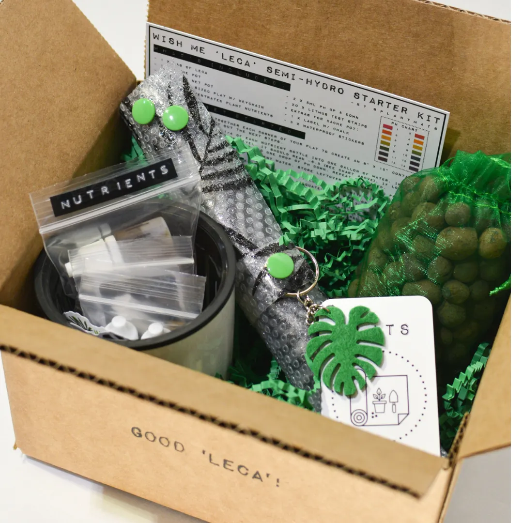 Wish Me 'Leca'  - Semi-Hydroponic Starter Kit