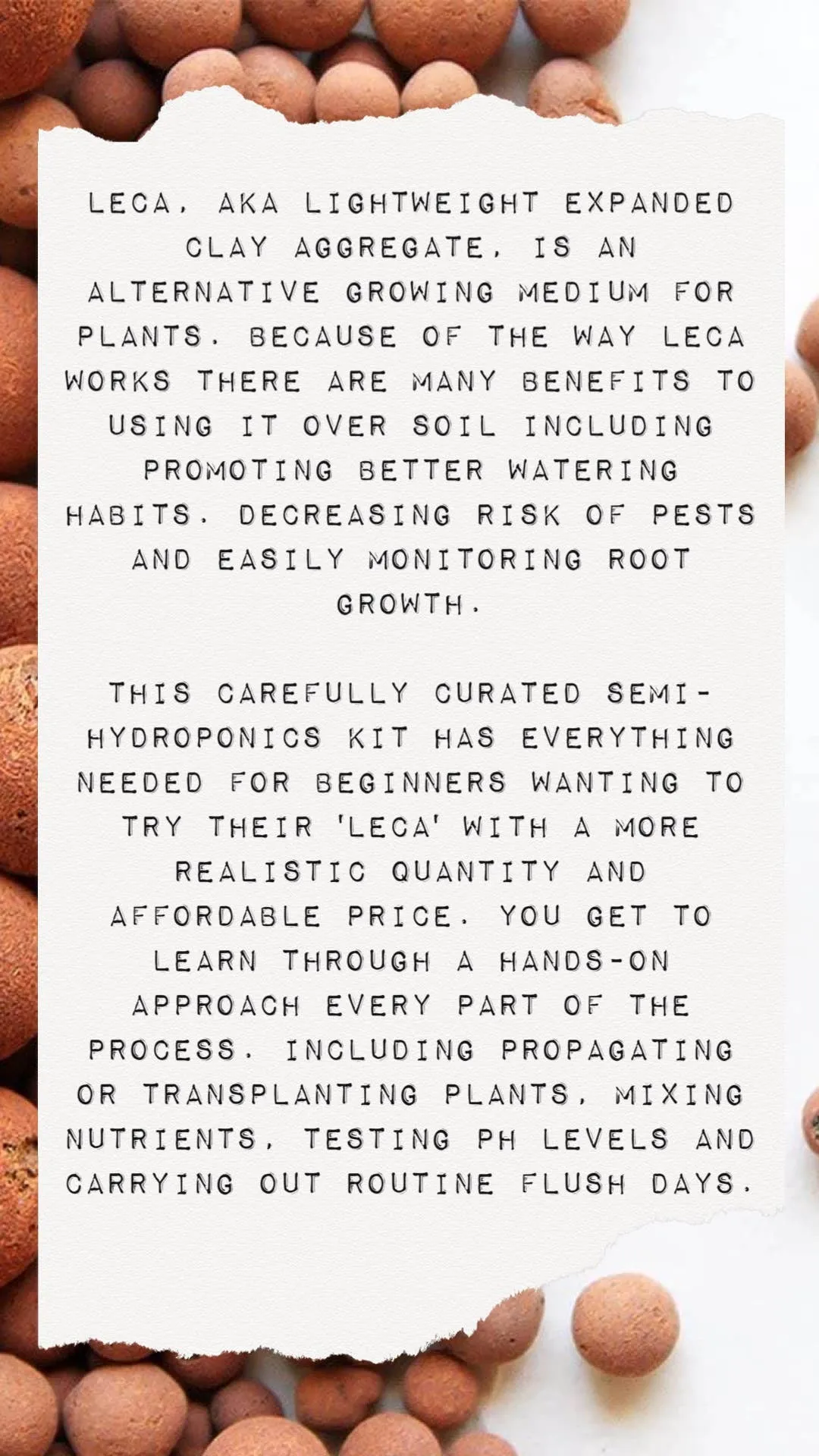 Wish Me 'Leca'  - Semi-Hydroponic Starter Kit