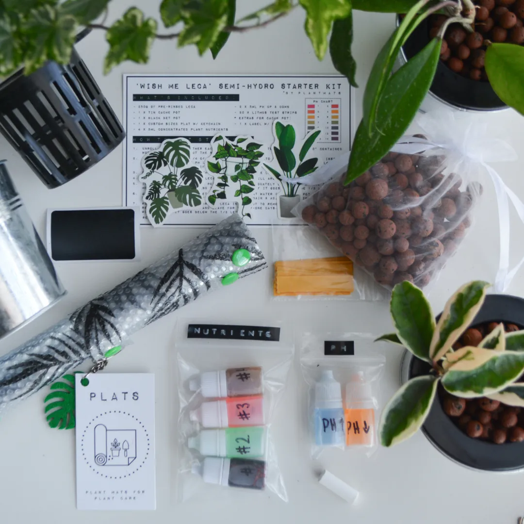 Wish Me 'Leca'  - Semi-Hydroponic Starter Kit