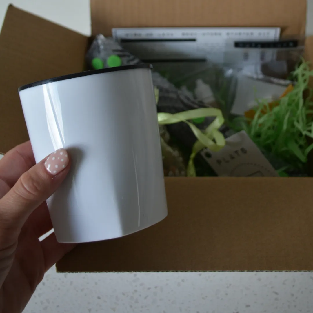 Wish Me 'Leca'  - Semi-Hydroponic Starter Kit